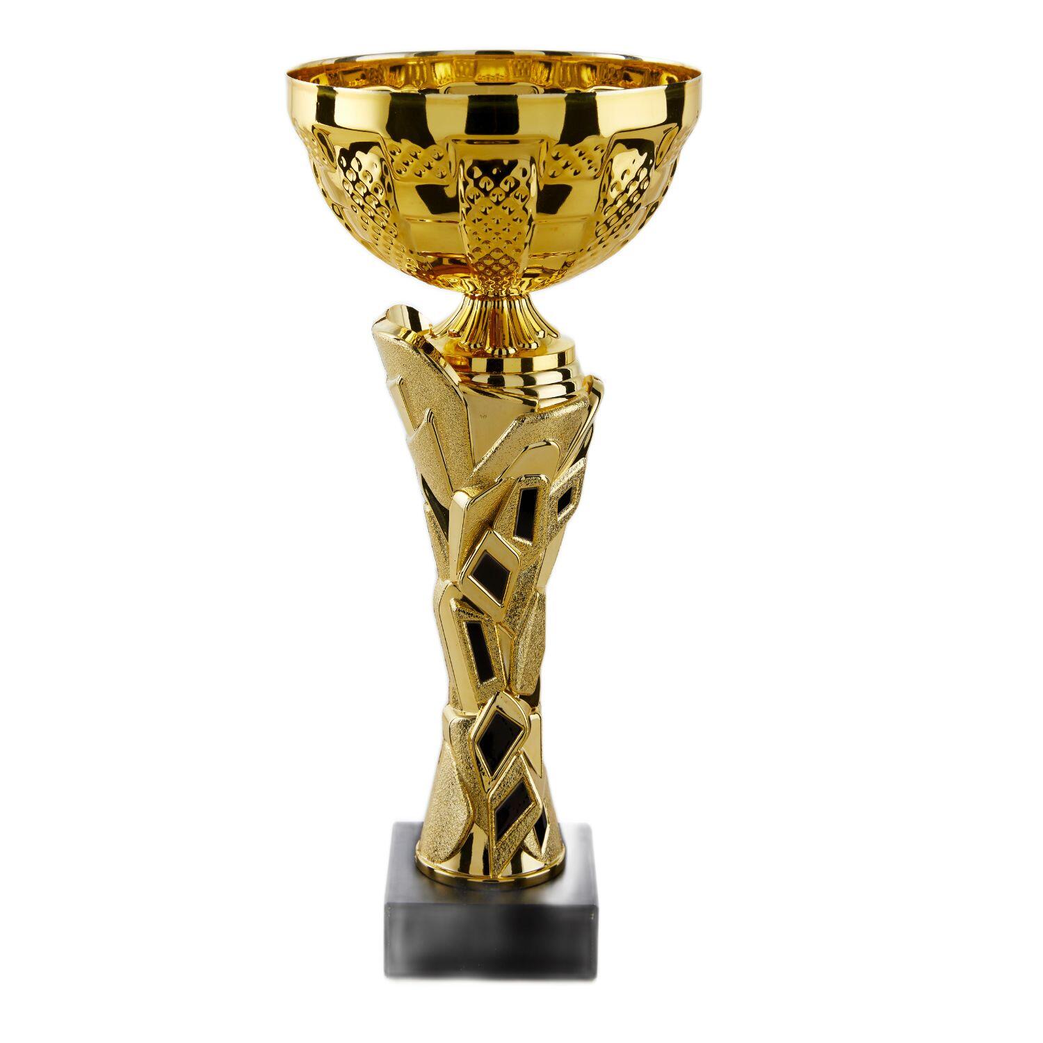 TROPHÉE VAINQUEURS picture