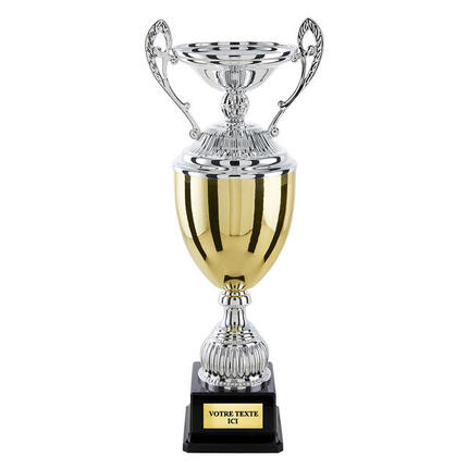 Coupe prestige argent/or hauteur 55 cm diamètre 160 mm