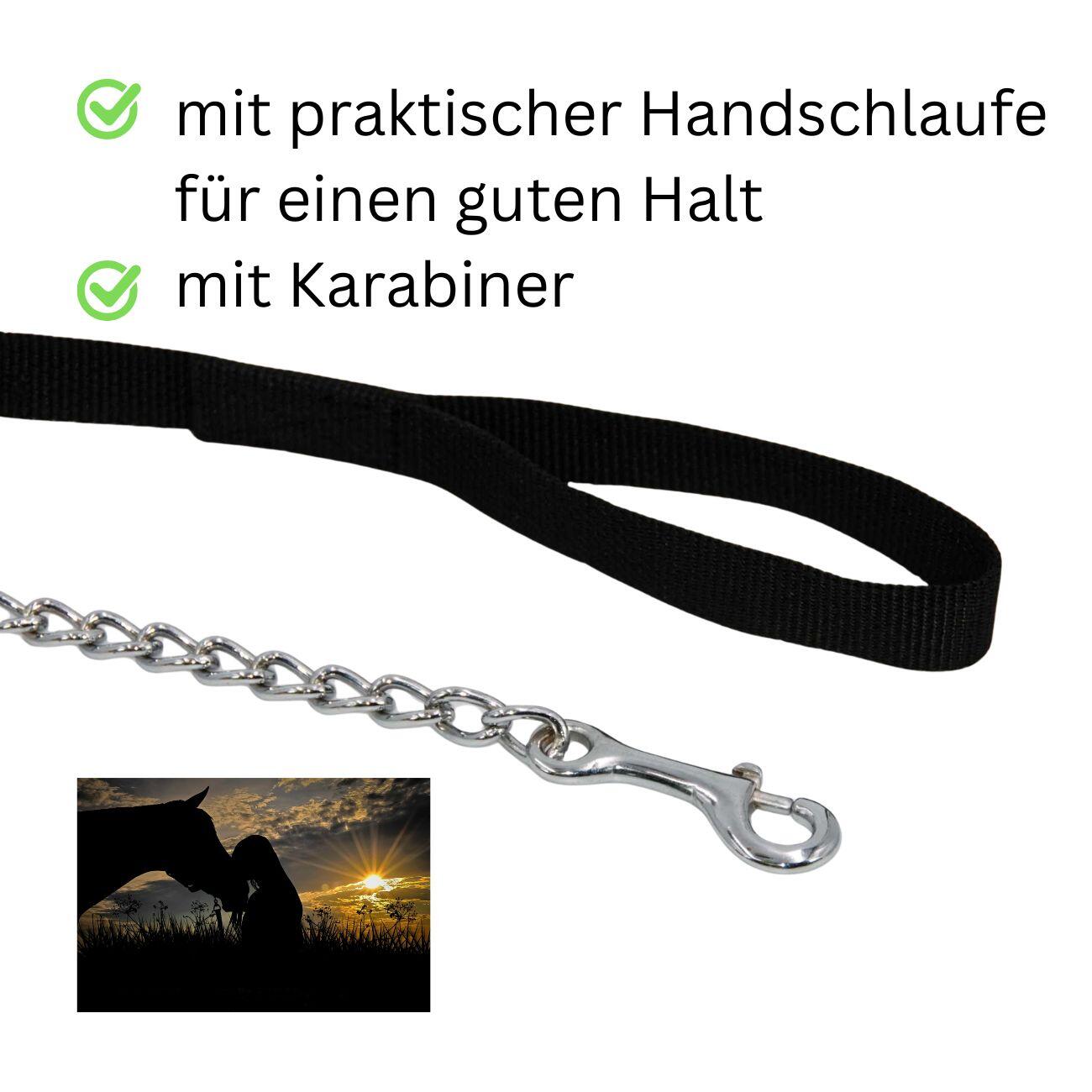 Führleine Nylon schwarz mit silberfarbener Kette 75 cm Gesamt 270 cm lang 3/4
