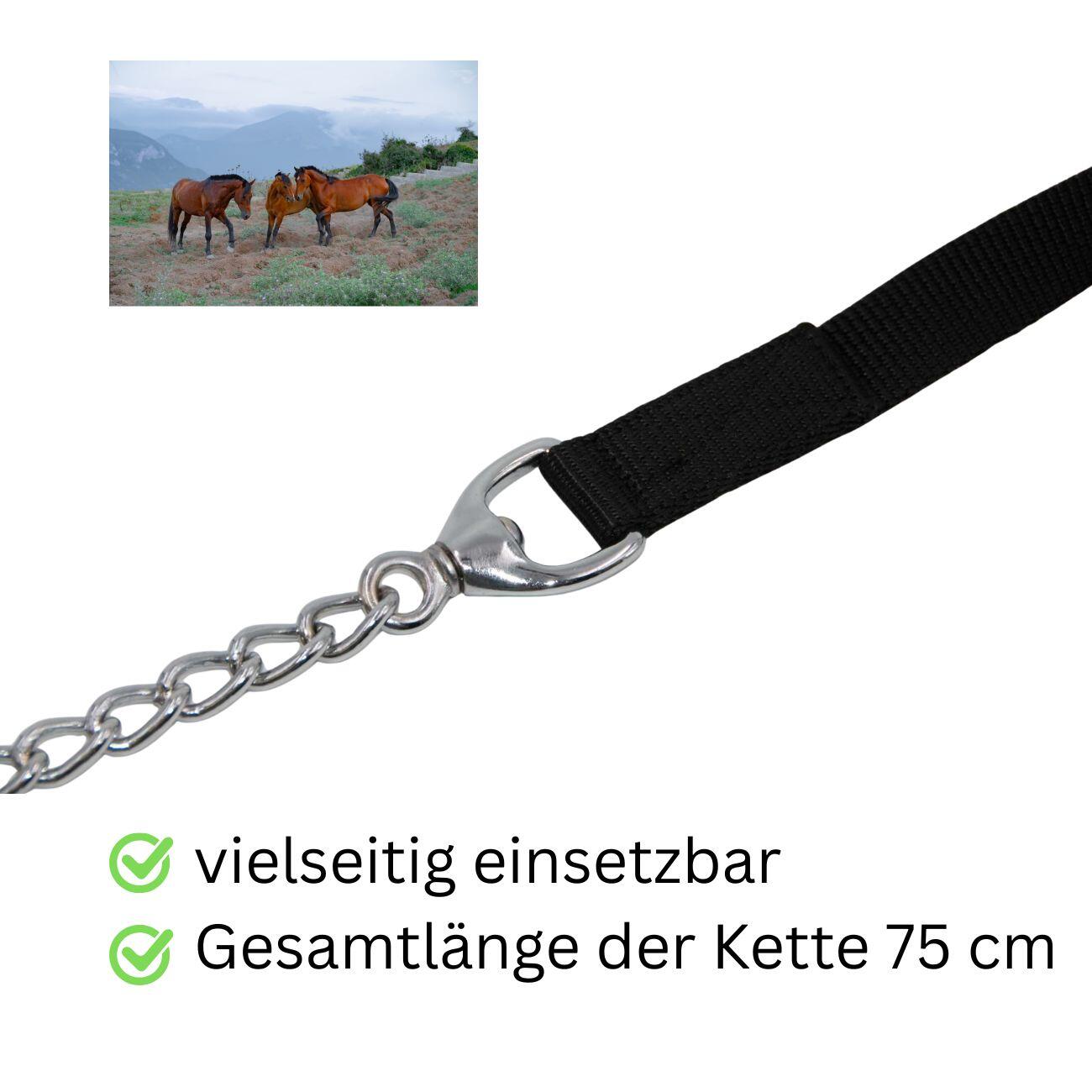 Führleine Nylon schwarz mit silberfarbener Kette 75 cm Gesamt 270 cm lang 2/4