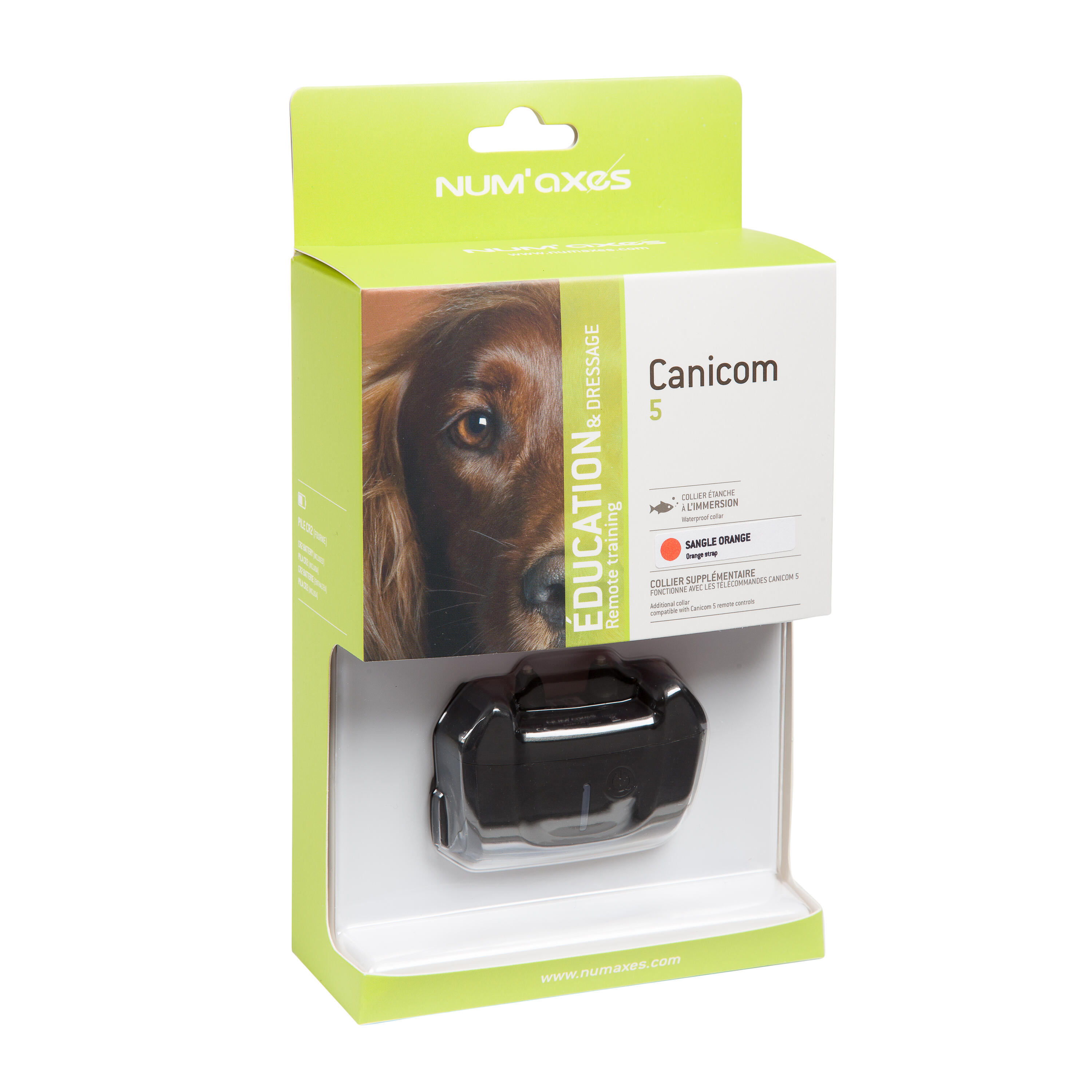 Collier de dressage seul pour chien avec sangle Num'axes Canicom 5 3/3