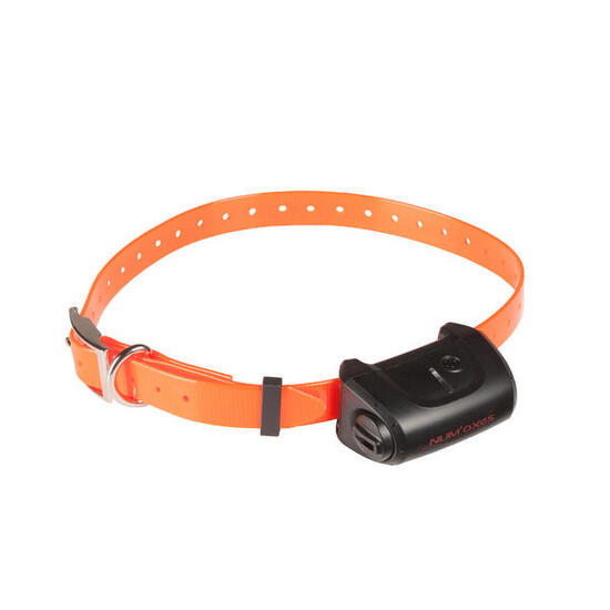 Collier de dressage seul pour chien avec sangle Num'axes Canicom 5