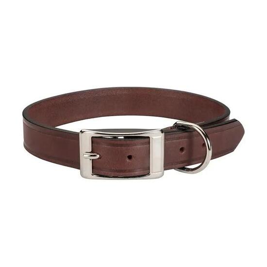 Collier pour chien en cuir Stepland
