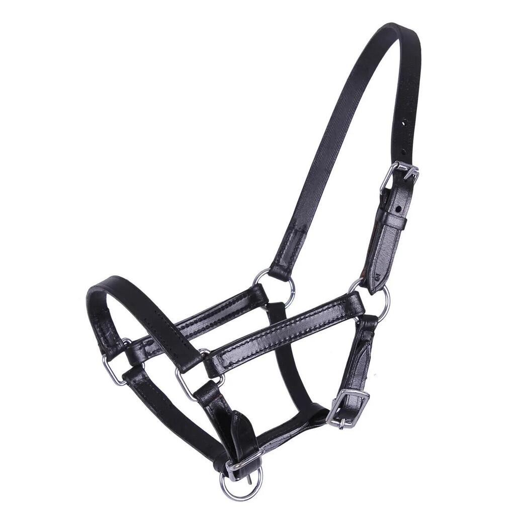 Leather foal halter Q-essentials Chico