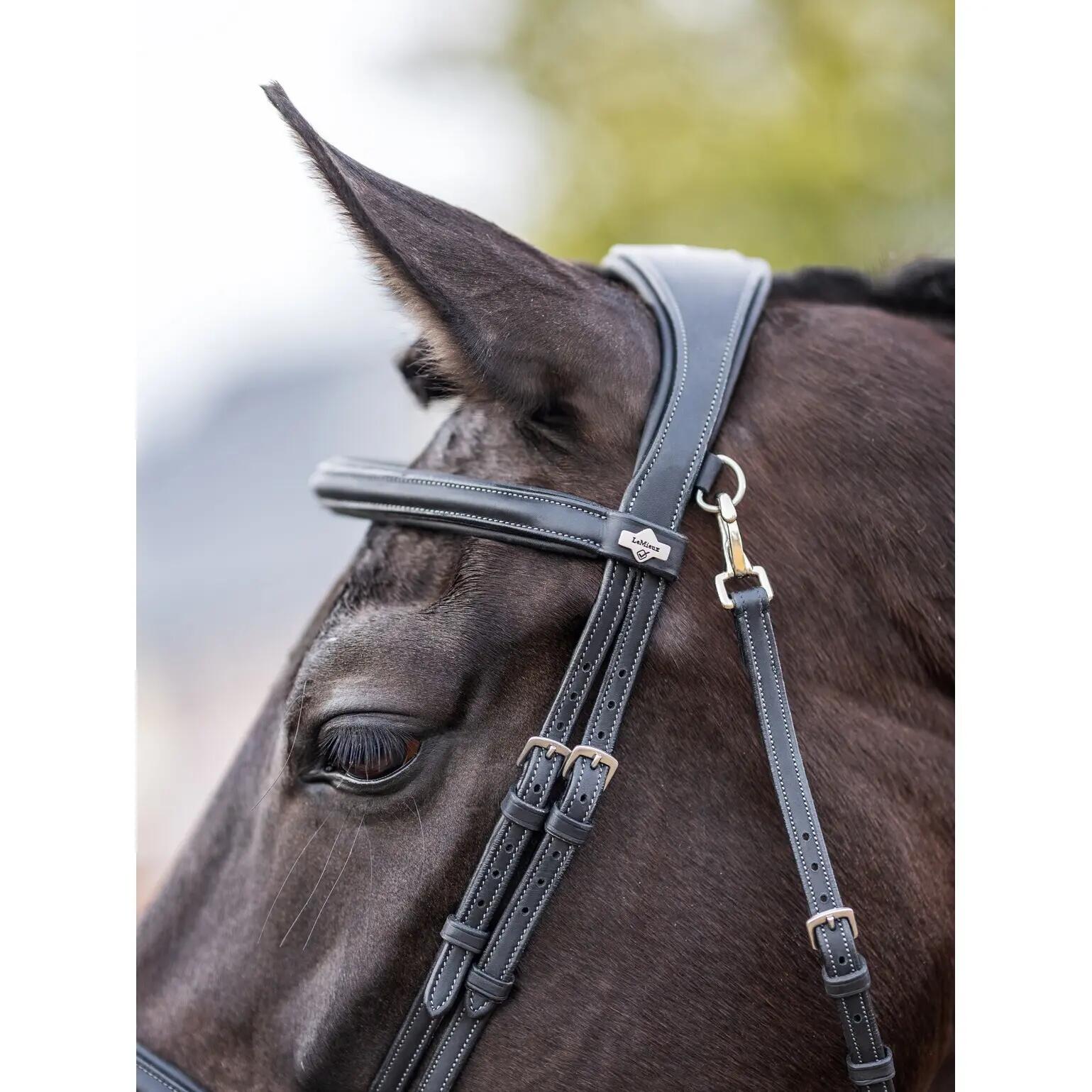 Hoofdstel voor paarden LeMieux Work 3/7