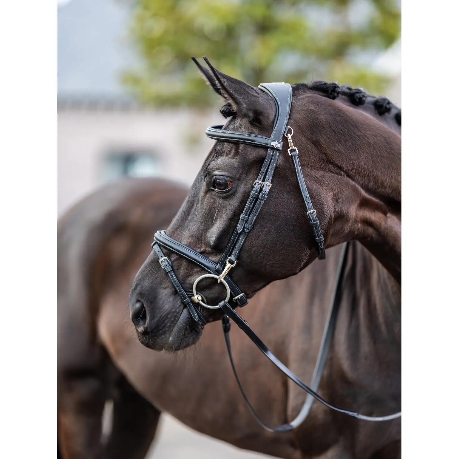 Hoofdstel voor paarden LeMieux Work 2/7