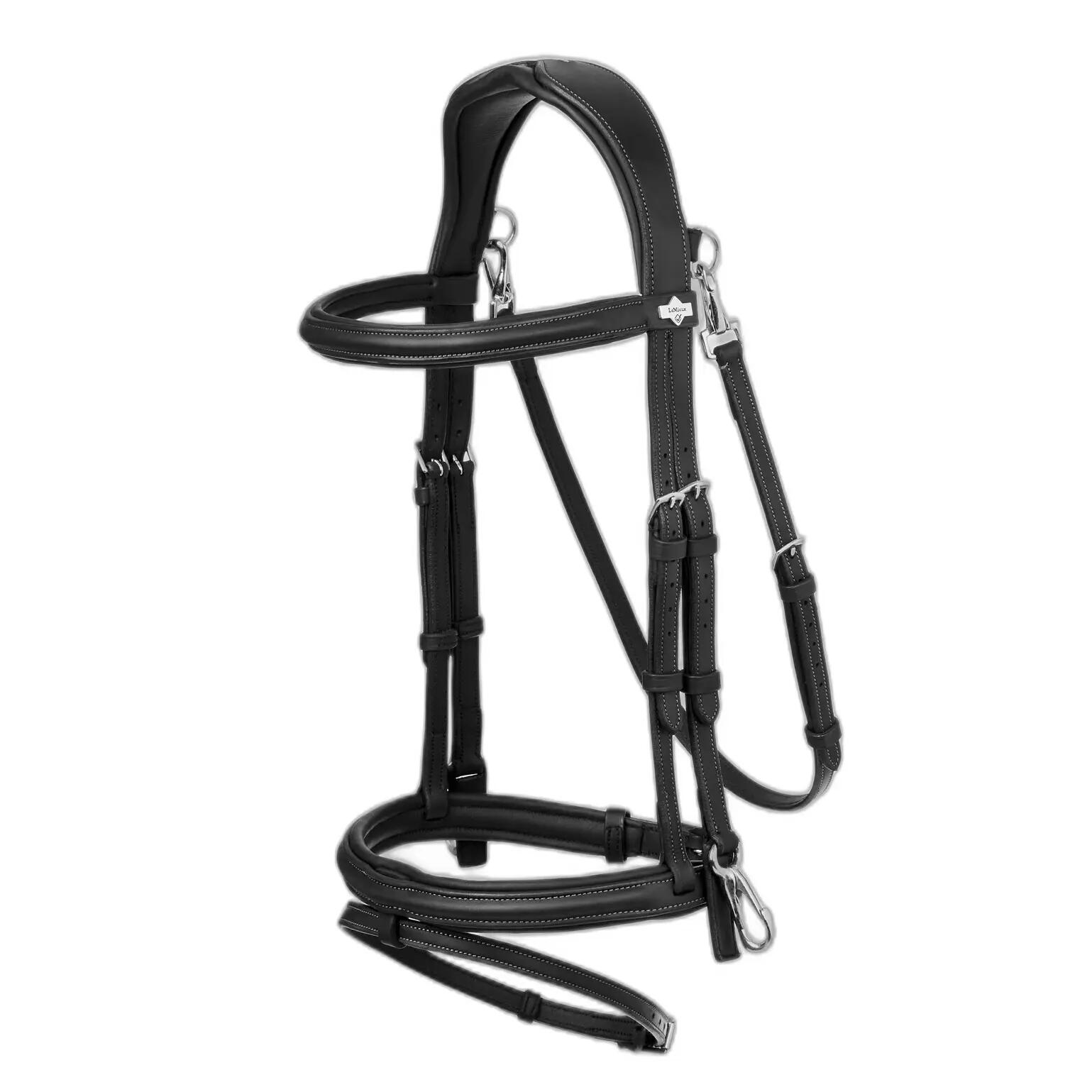 LEMIEUX picture