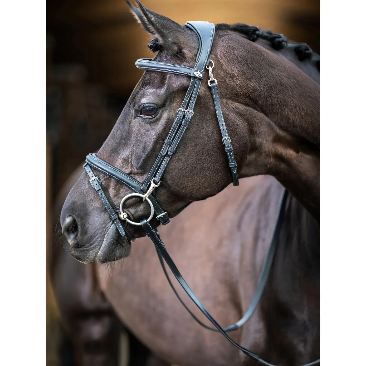 Hoofdstel voor paarden LeMieux Work 4/7