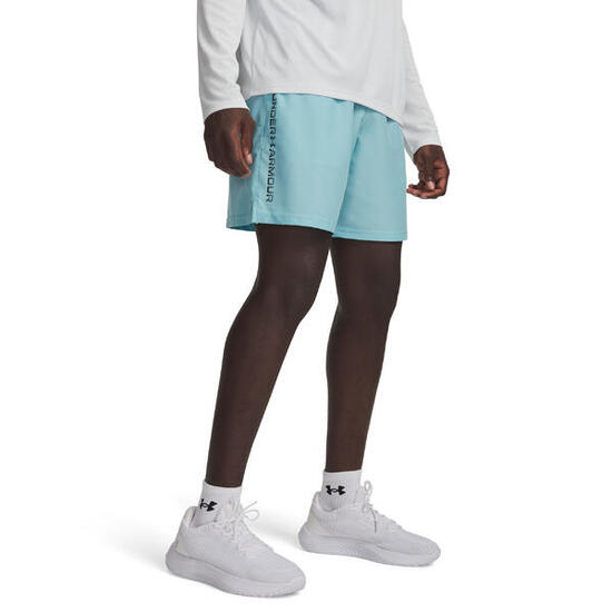 Under Armour Herren Shorts Woven Wdmk Shorts 1383356