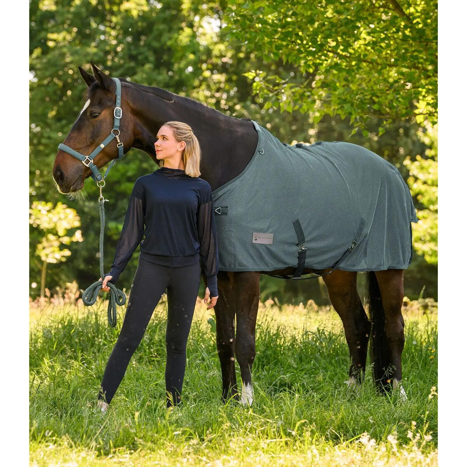 Copertura anti-insetti con cinghie incrociate per cavallo Waldhausen Comfort 2/2