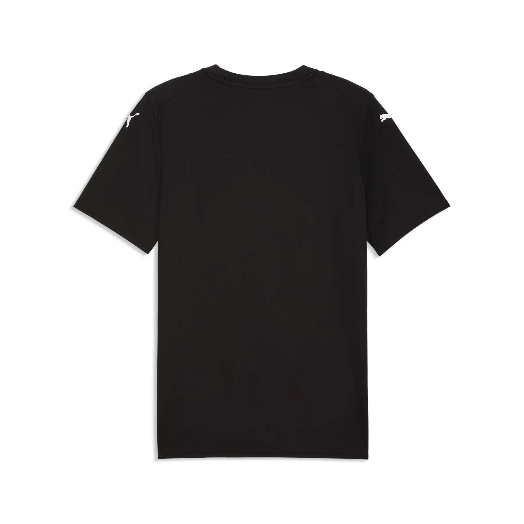 Maillot Puma Team Final Graphic 2/2