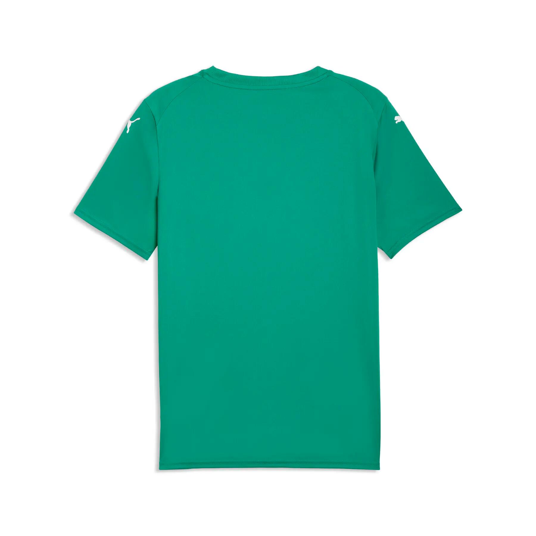 Jersey Puma Team Final Graphic 2/2