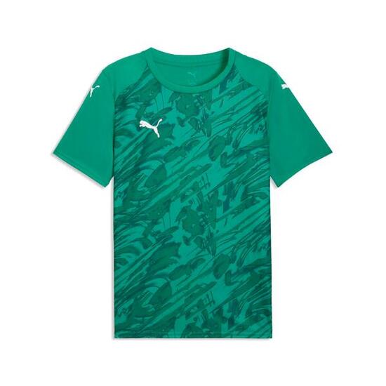 Maillot Puma Team Final Graphic