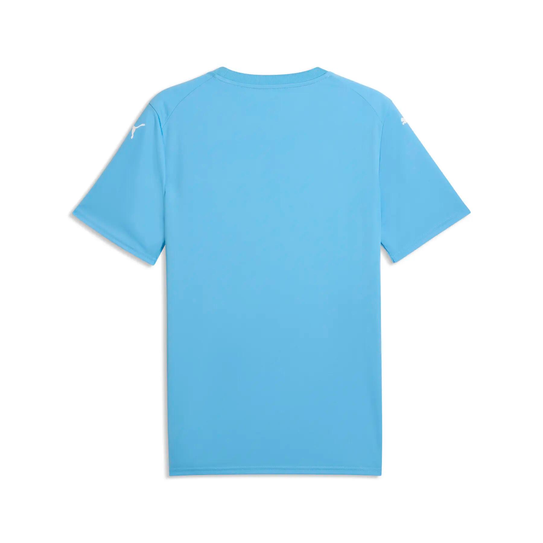 Jersey Puma Team Final Graphic 2/2