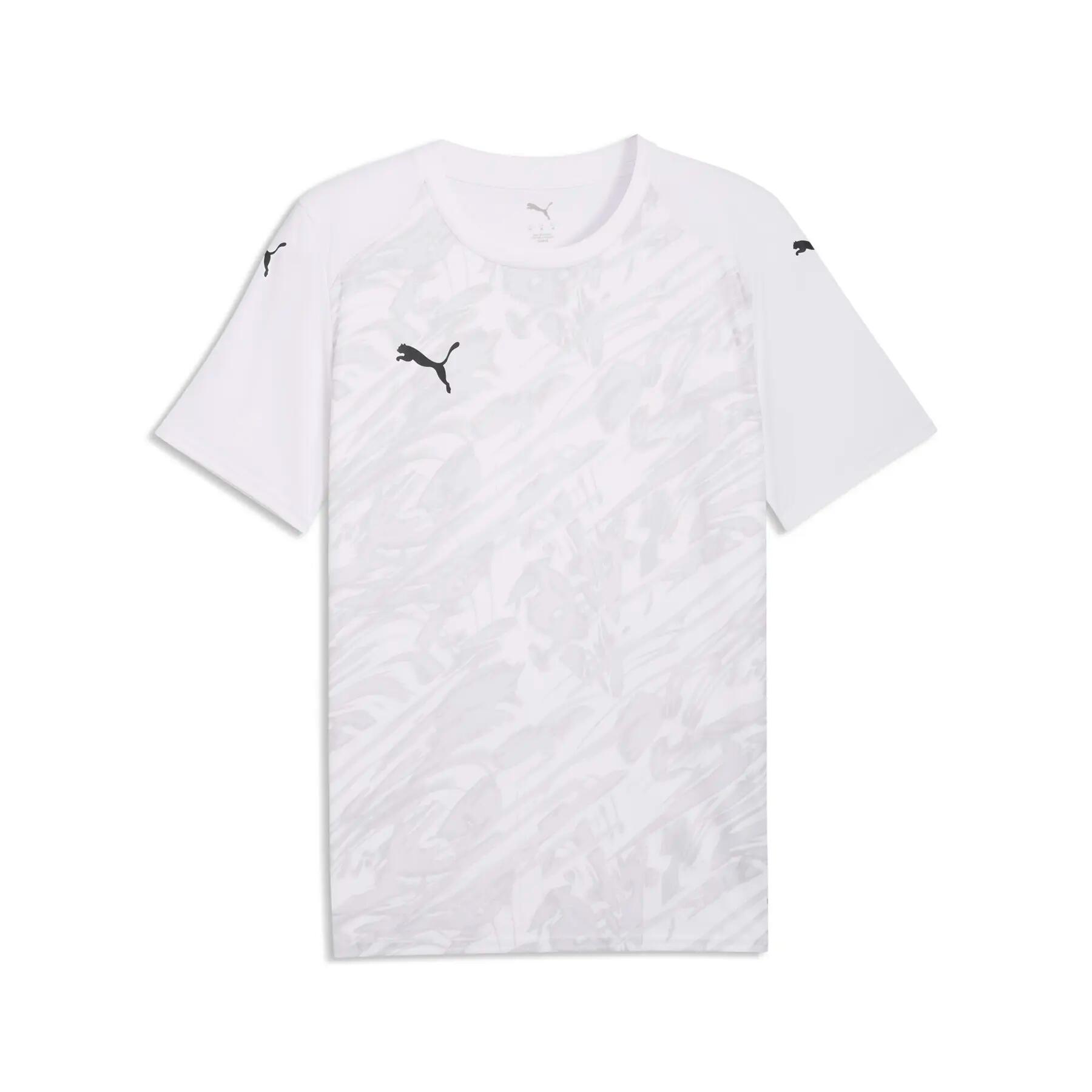 PUMA picture