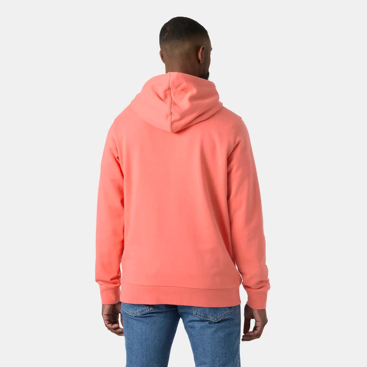 Felpa con cappuccio Helly Hansen Box 4/7