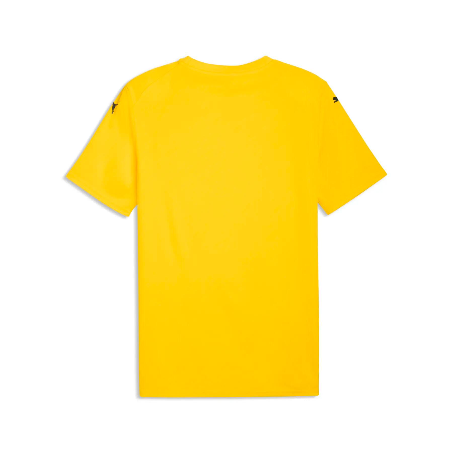 Camisola Puma Team Final Graphic 2/2