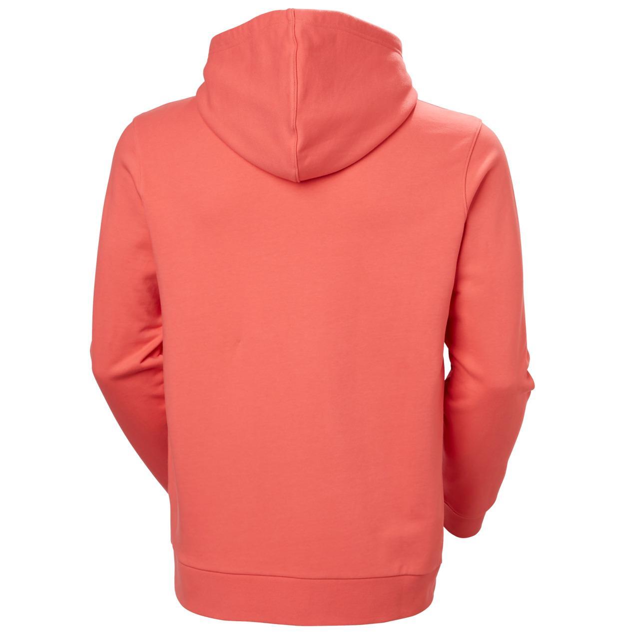 Felpa con cappuccio Helly Hansen Box 3/7