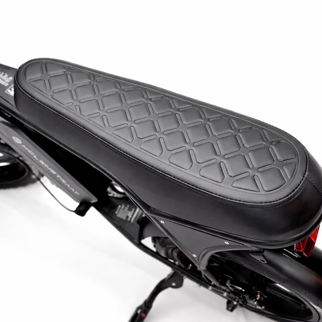 Elektrisches Fatbike 500W 20″ 48V Doppelte Batterie Dapper PRO 3/6