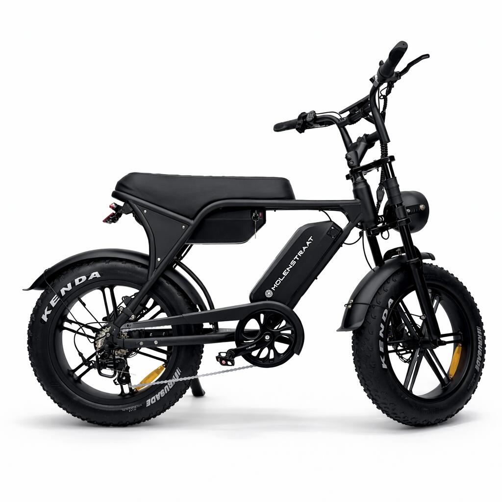 Elektrisches Fatbike 500W 20″ 48V Doppelte Batterie Dapper PRO 2/6