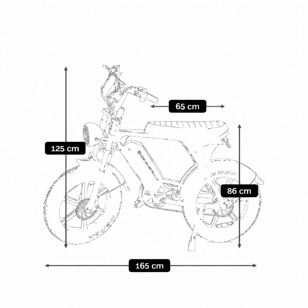 Elektrisches Fatbike 500W 20″ 48V Doppelte Batterie Dapper PRO 6/6