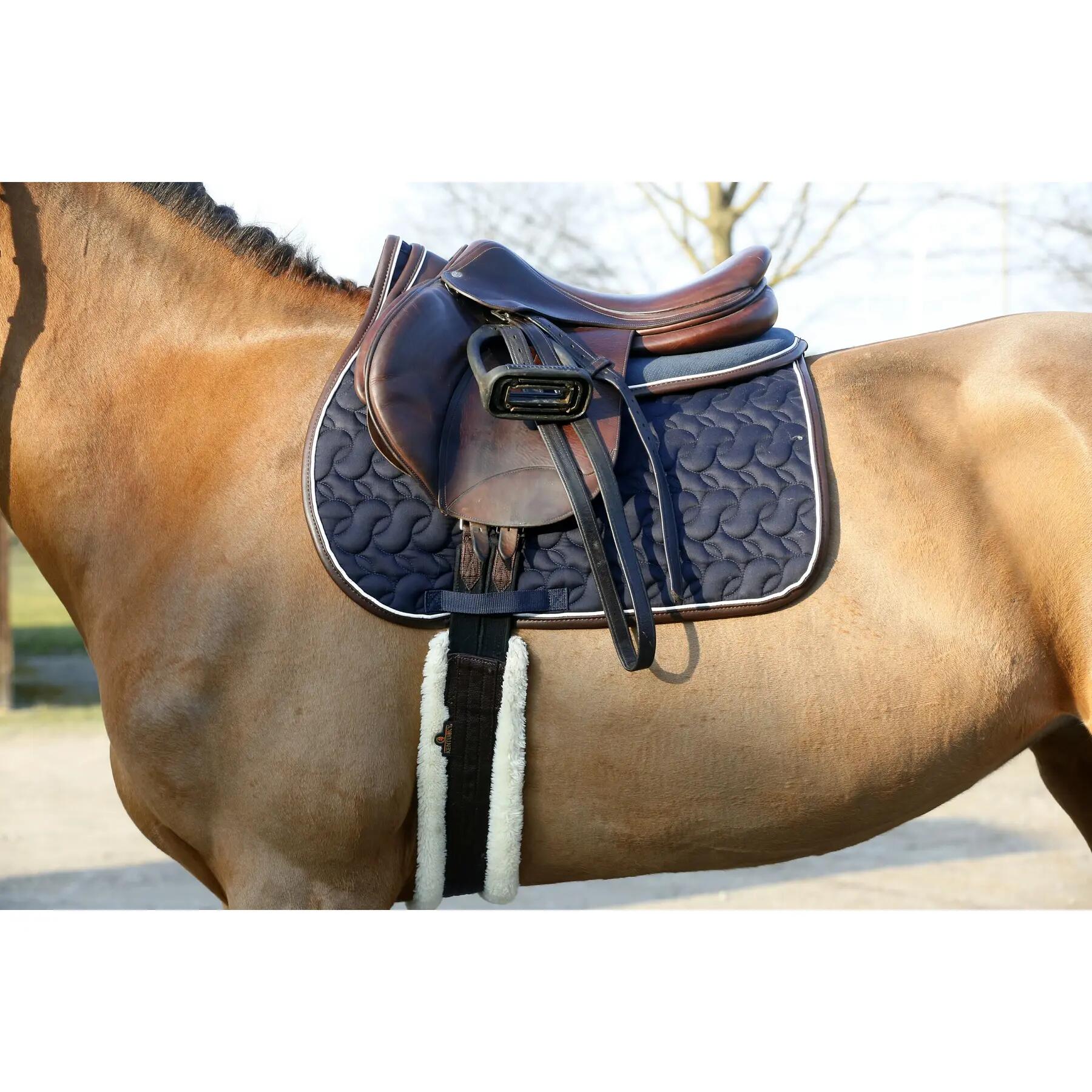 Sangle pour cheval mouton Kentucky 2/7