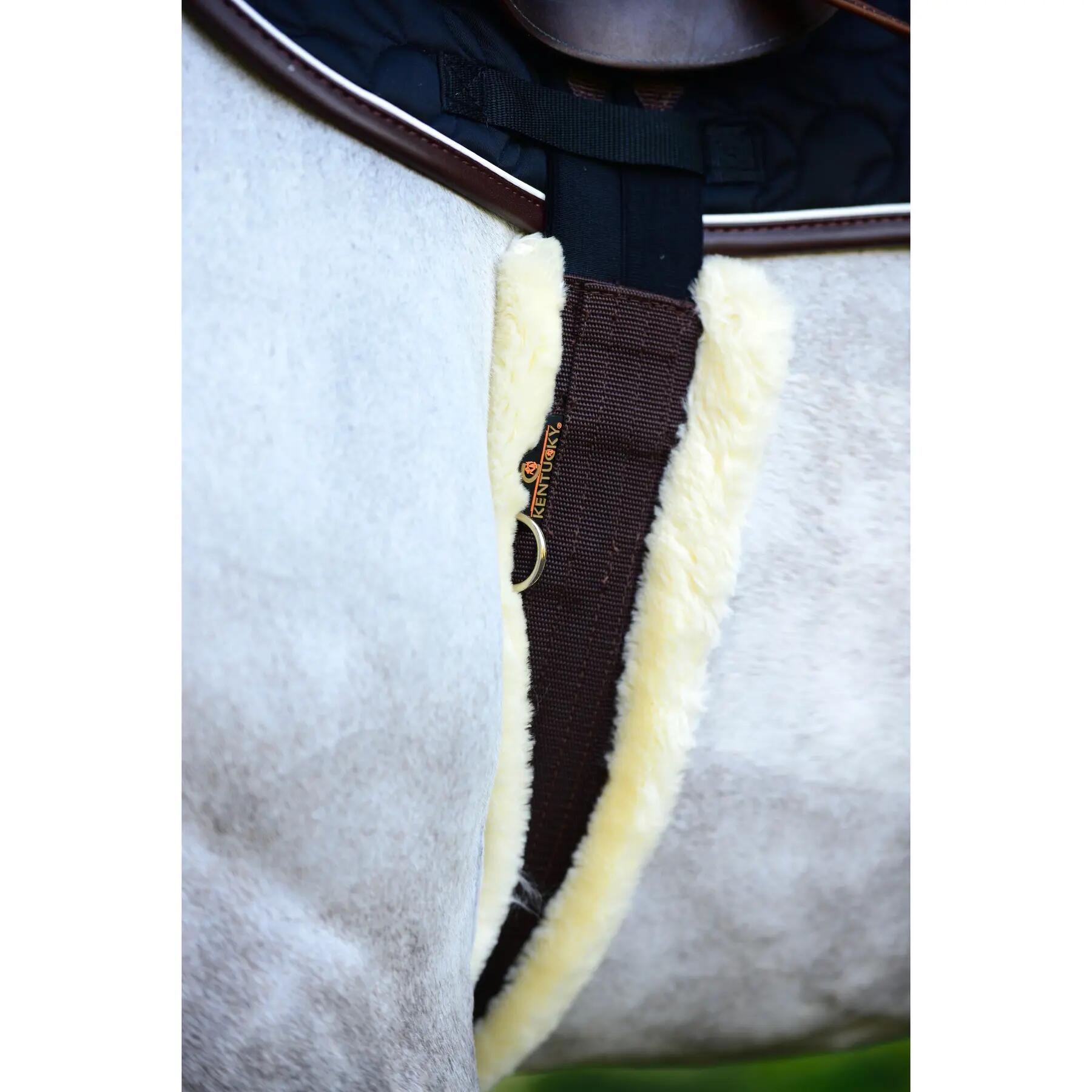 Sangle pour cheval mouton Kentucky 4/7