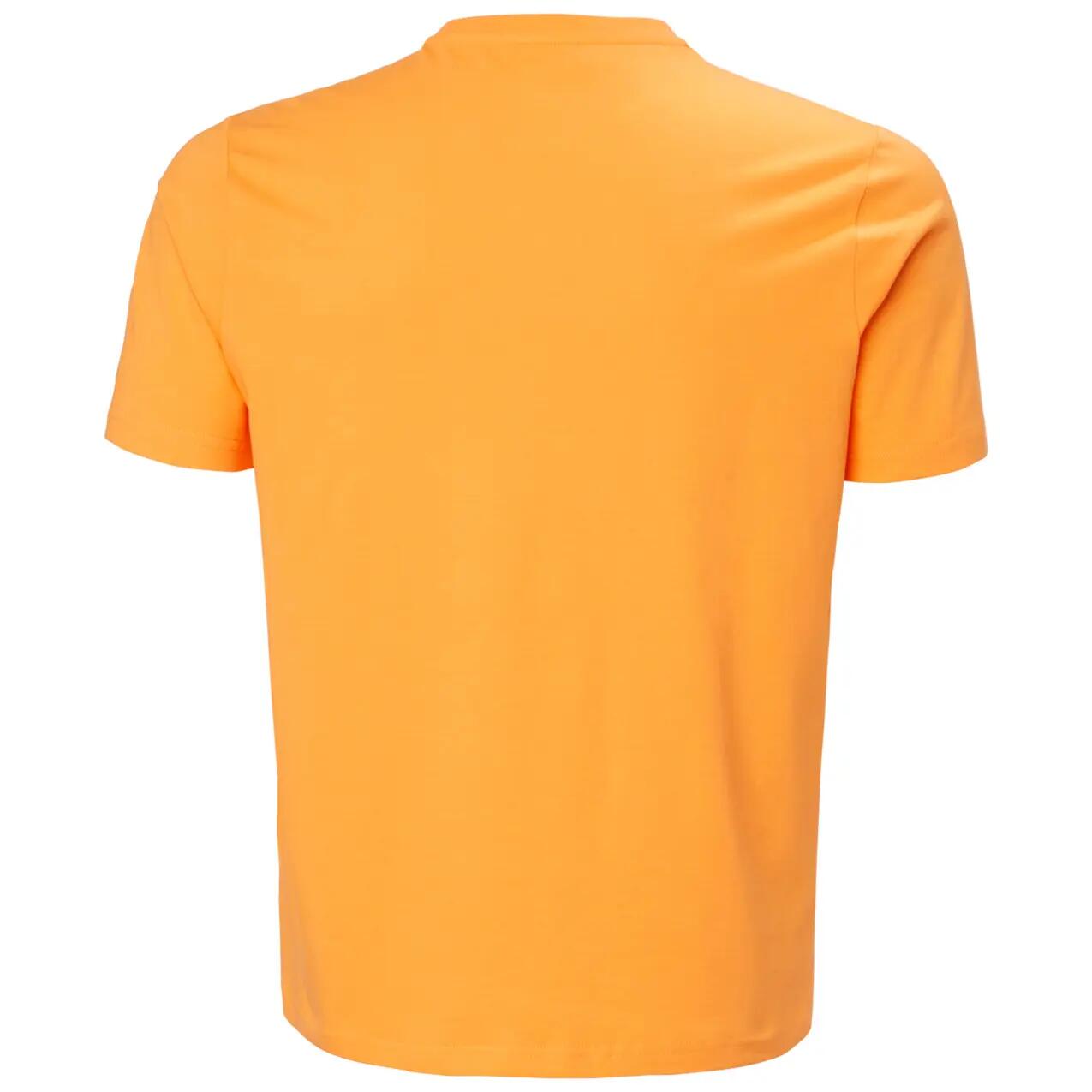 T-shirt Helly Hansen Logo 3.0 3/5
