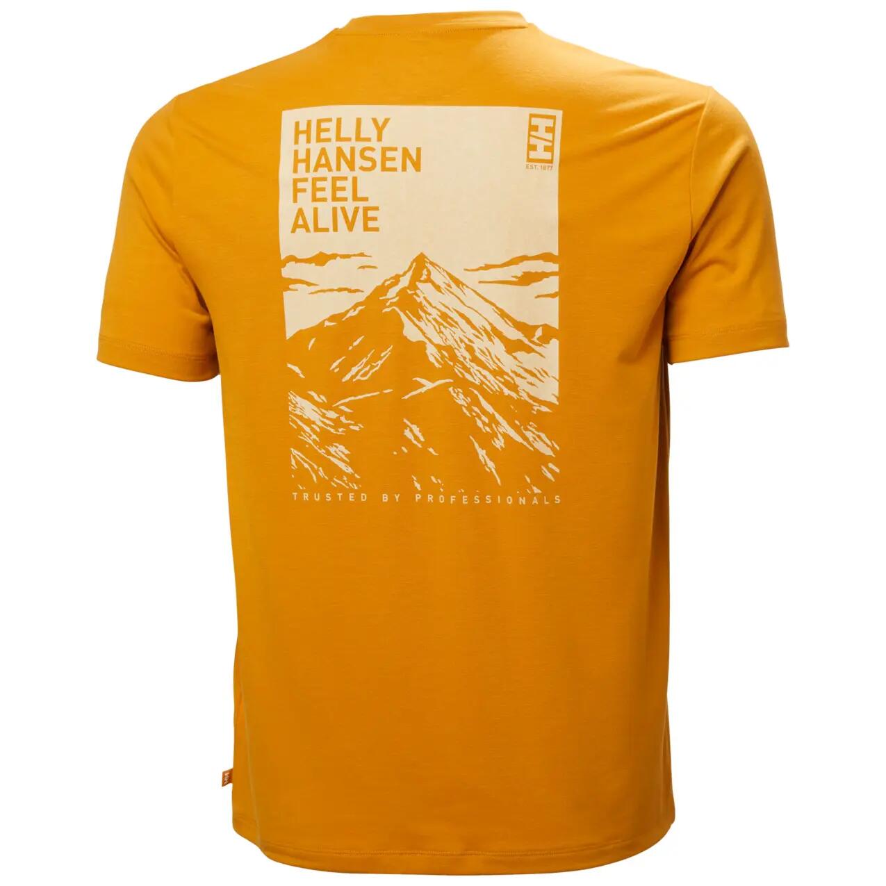 Jersey Helly Hansen Skog Graphic 6/6