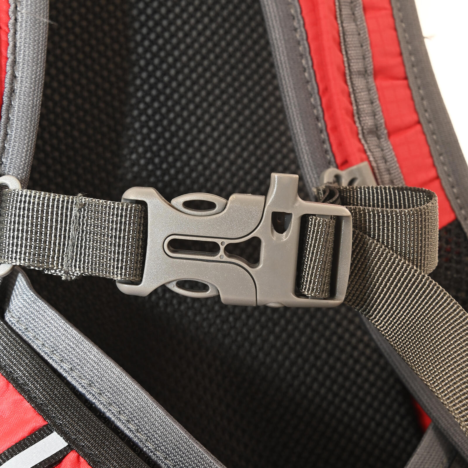 F2  Rucksack Daypack Tour Sondermodell 18L Rot 5/5