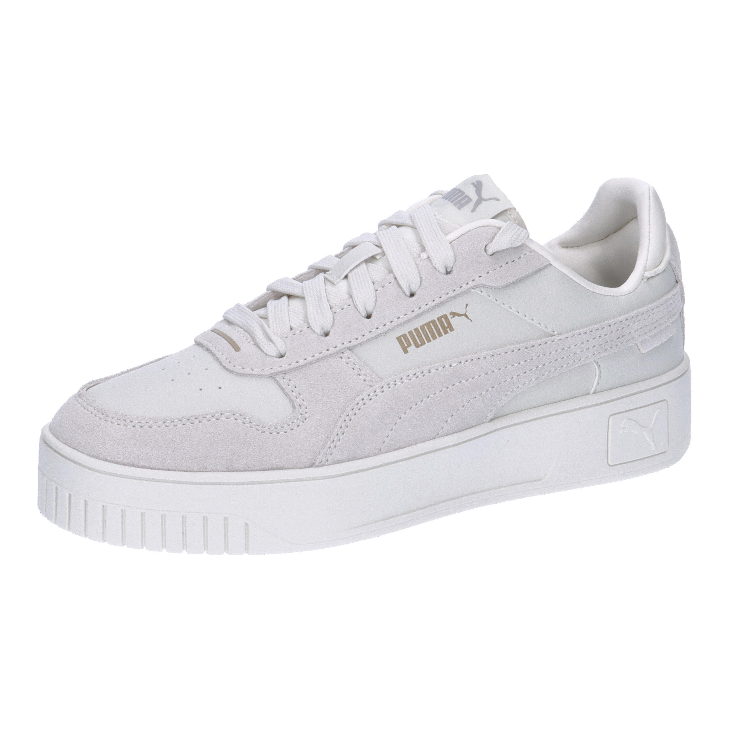 PUMA picture