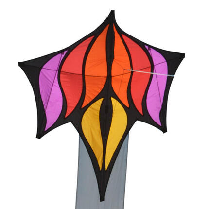 Einleiner Drachen Spiderkites Brasington Between the lines #5 030090-5 Orange