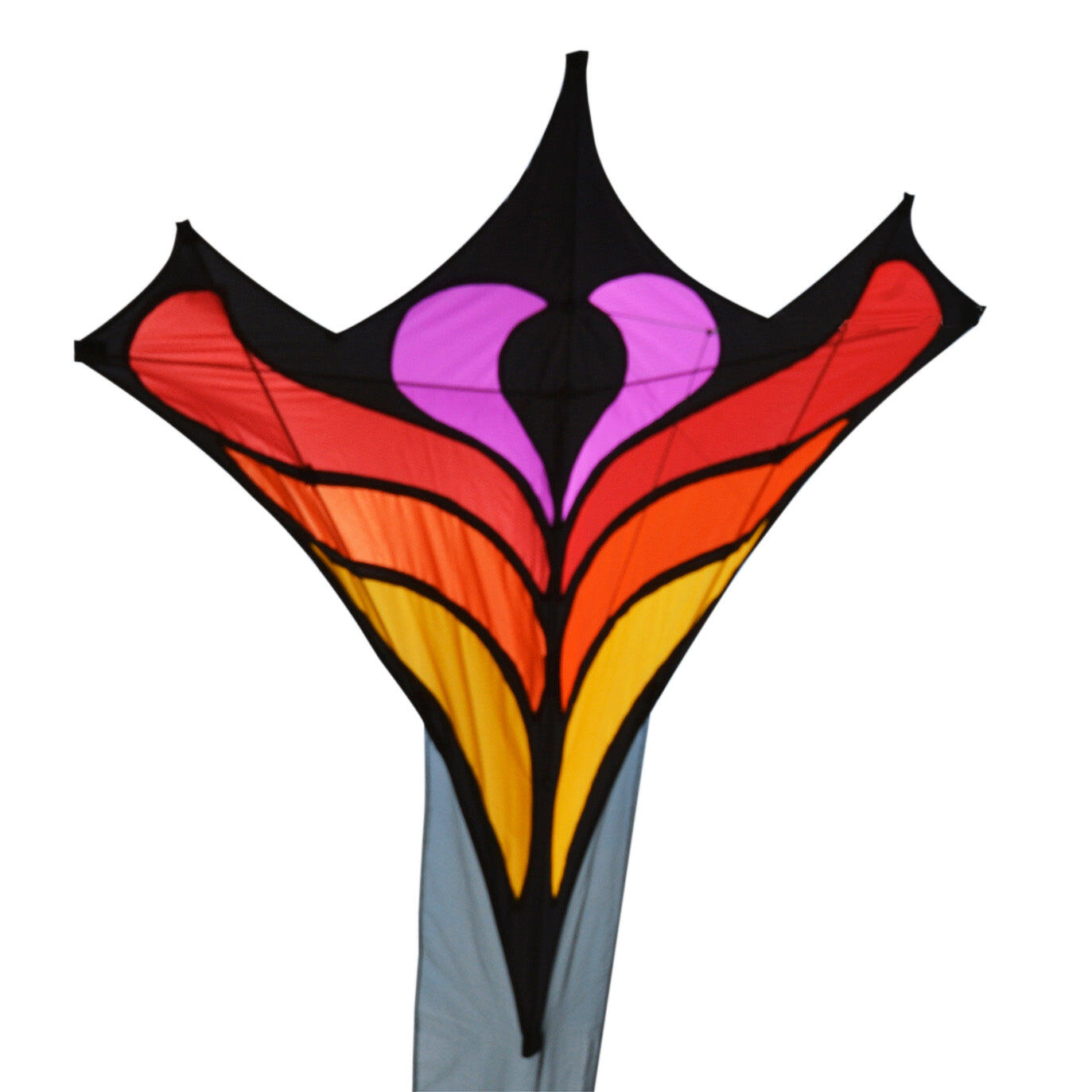 SPIDERKITES picture