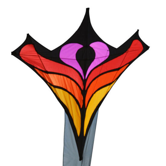 Einleiner Drachen Spiderkites Brasington Between the lines #2 030090-2 Orange