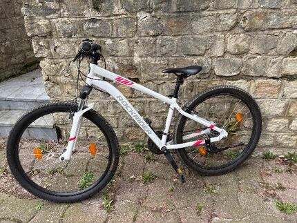 Mountainbike Rockrider ST100