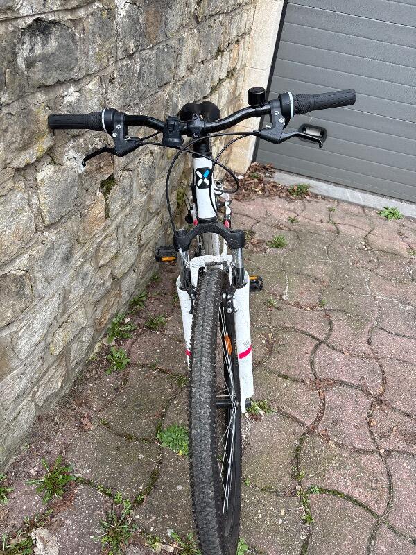 Mountainbike Rockrider ST100 3/5