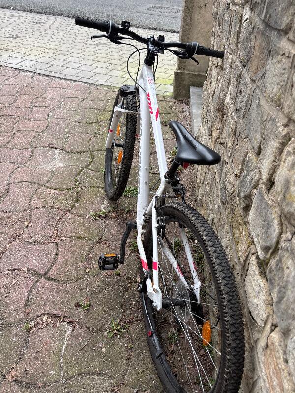 Mountainbike Rockrider ST100 2/5