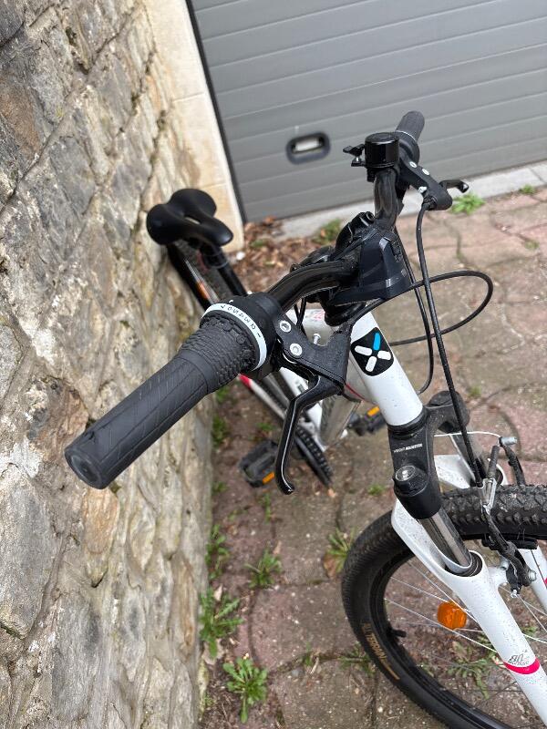 Mountainbike Rockrider ST100 5/5