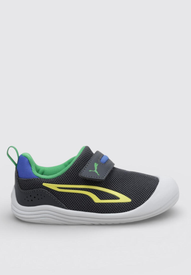 PUMA picture