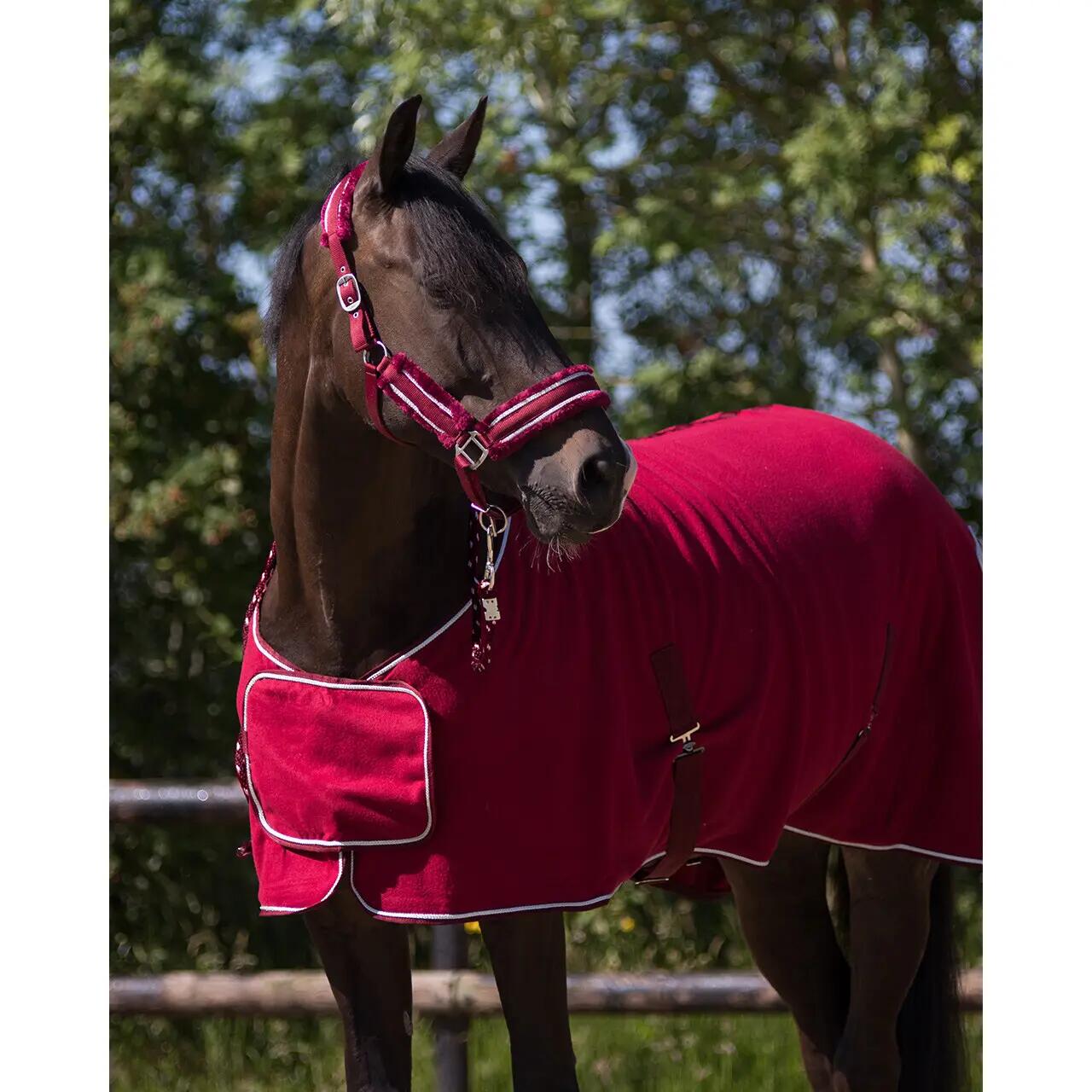 Fleece deken QHP Ornament 2/4