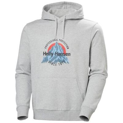 Sweatshirt helly hansen core graphic