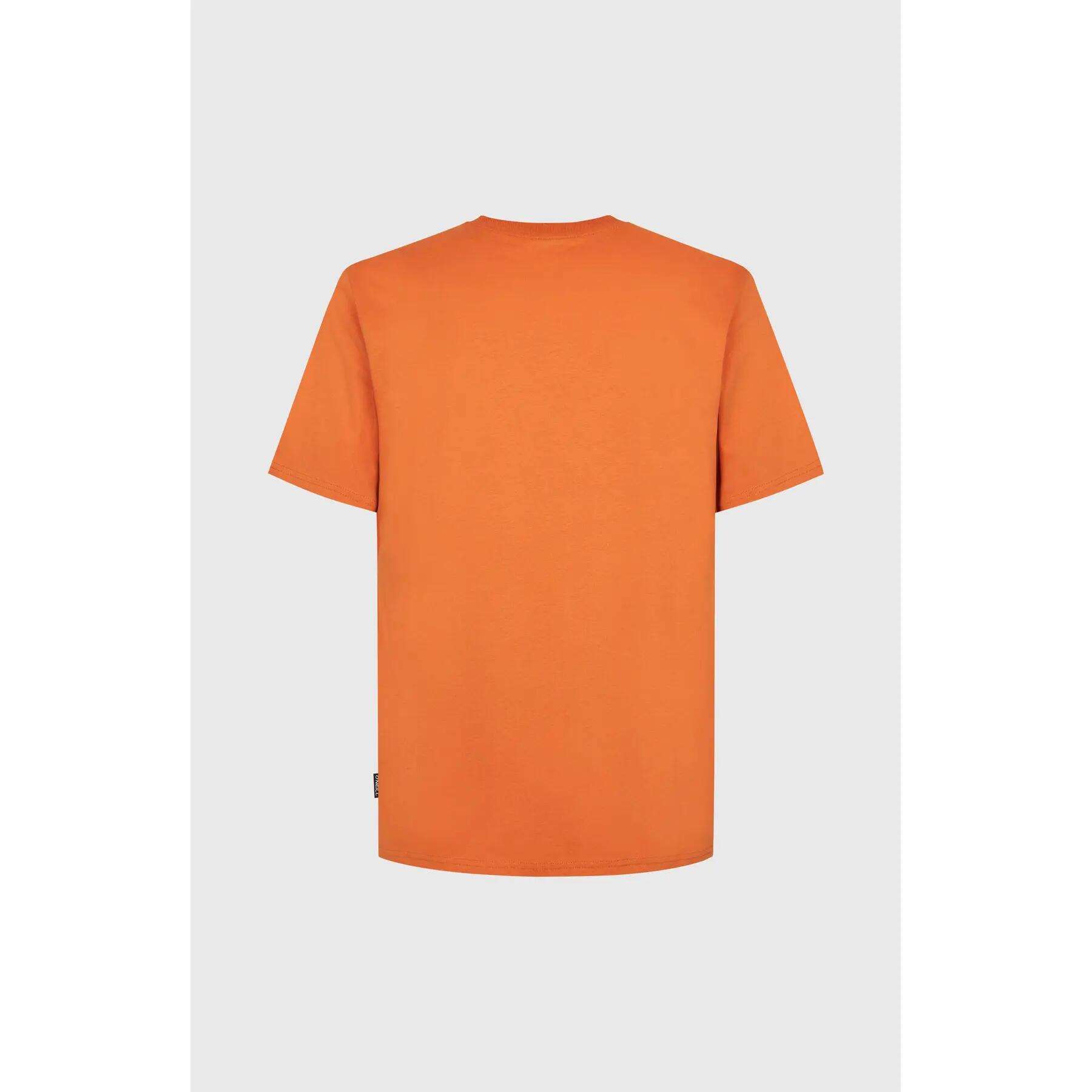 T-shirt O'Neill Originals Badge 2/5