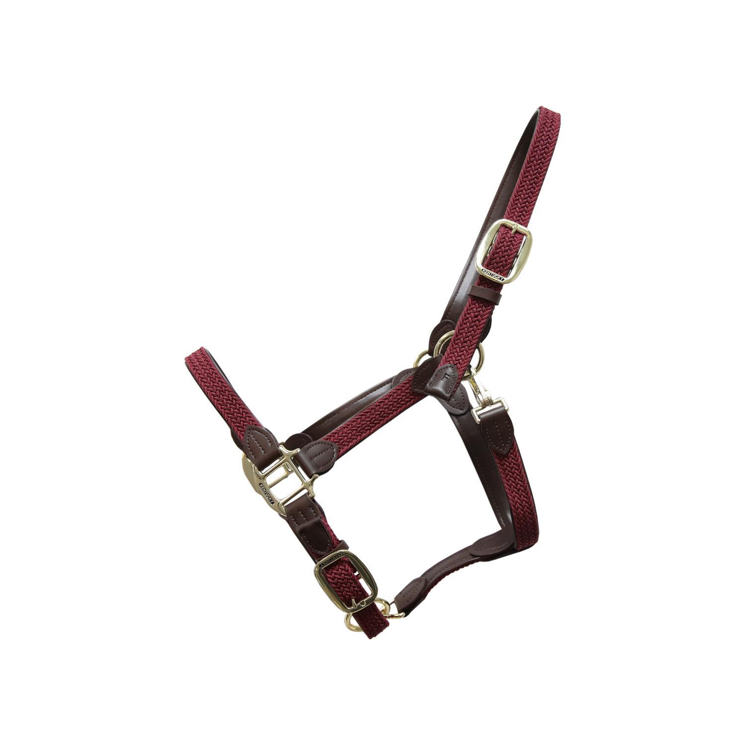 Licol nylon tressé bleu bordeaux Cob 1/5