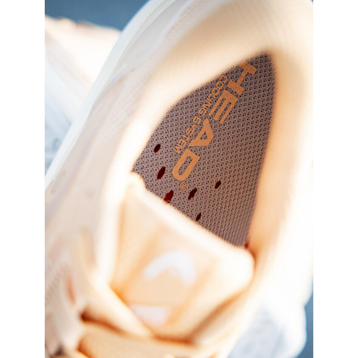 HEAD Sprint Pro 4.0 Scarpe tennis donna 6/7