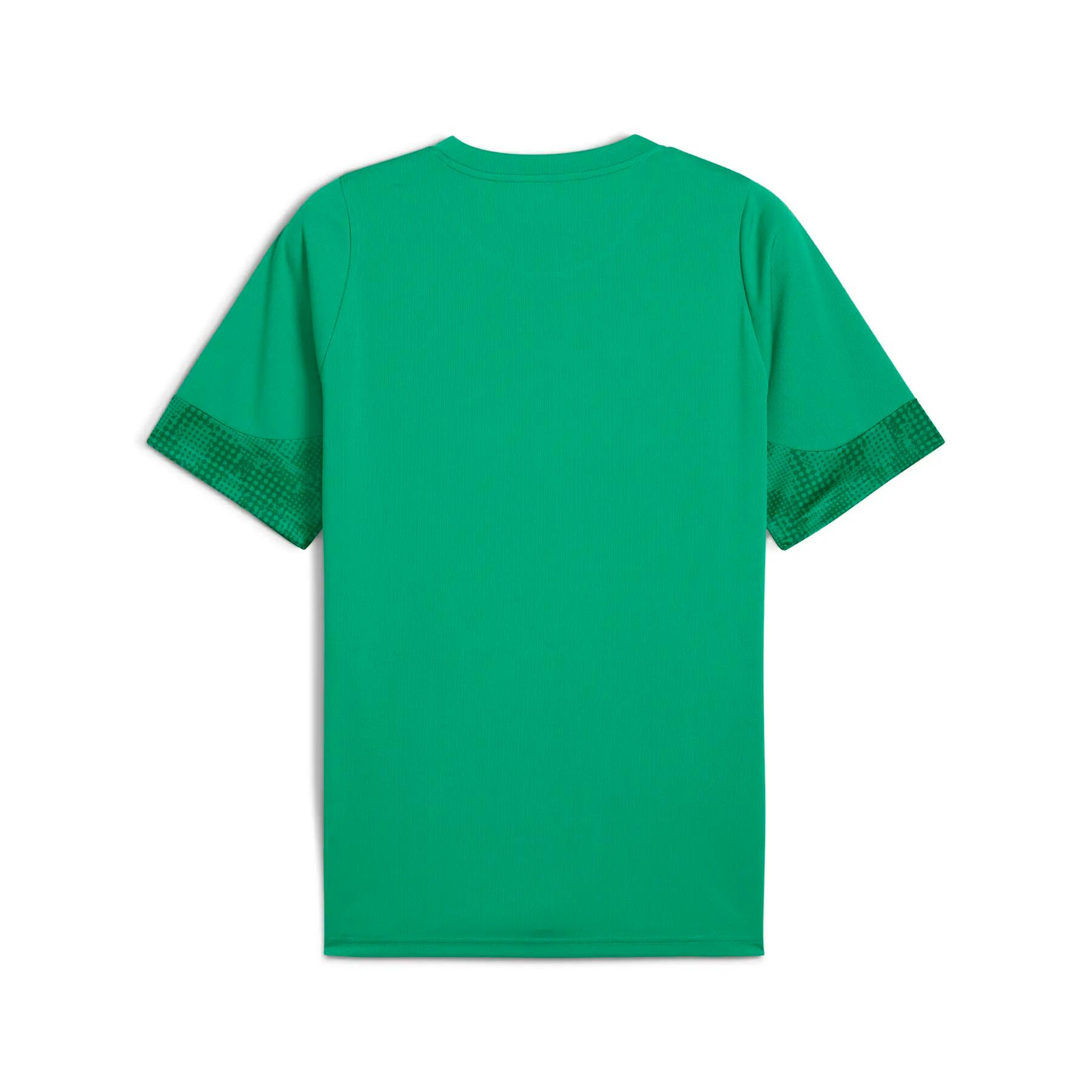 Maillot Puma Team Cup 4/7