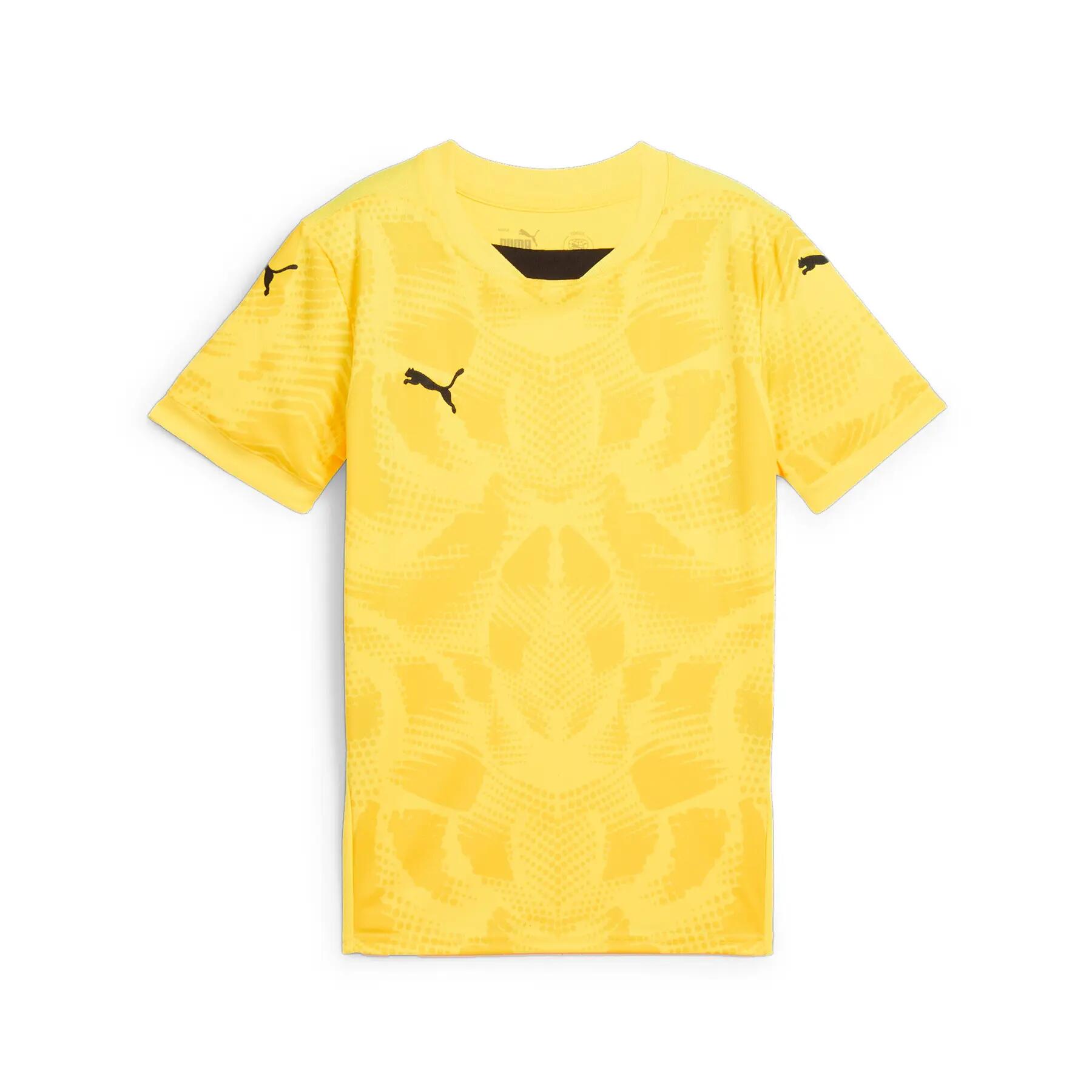 PUMA picture