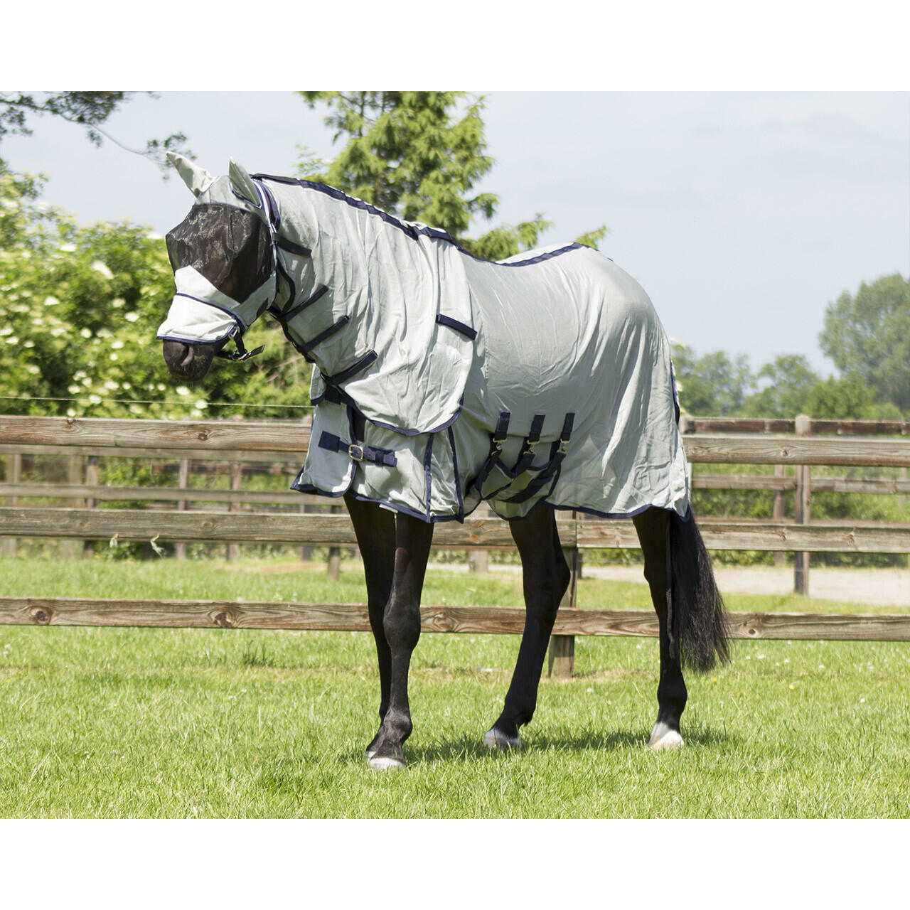 Chemise pour cheval QHP zebra 7/7