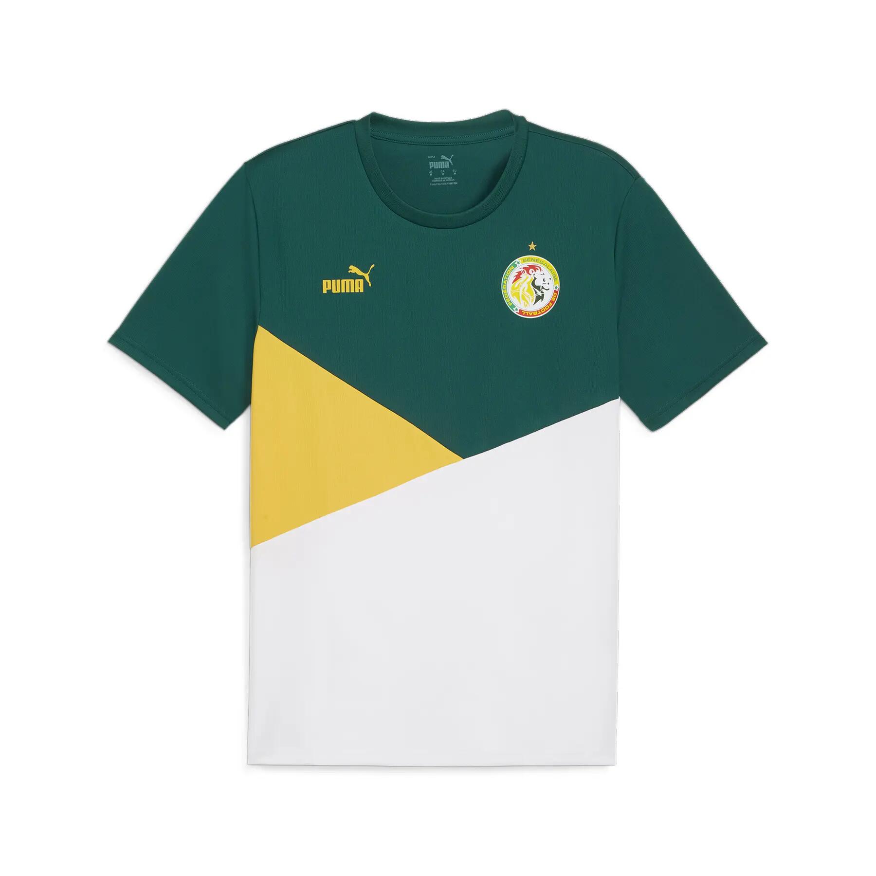 Maillot Sénégal 2023 1/2
