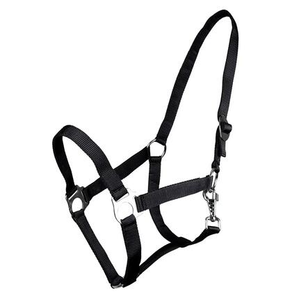 Damskie buty do jazdy konnej Equipage Megan - Standard