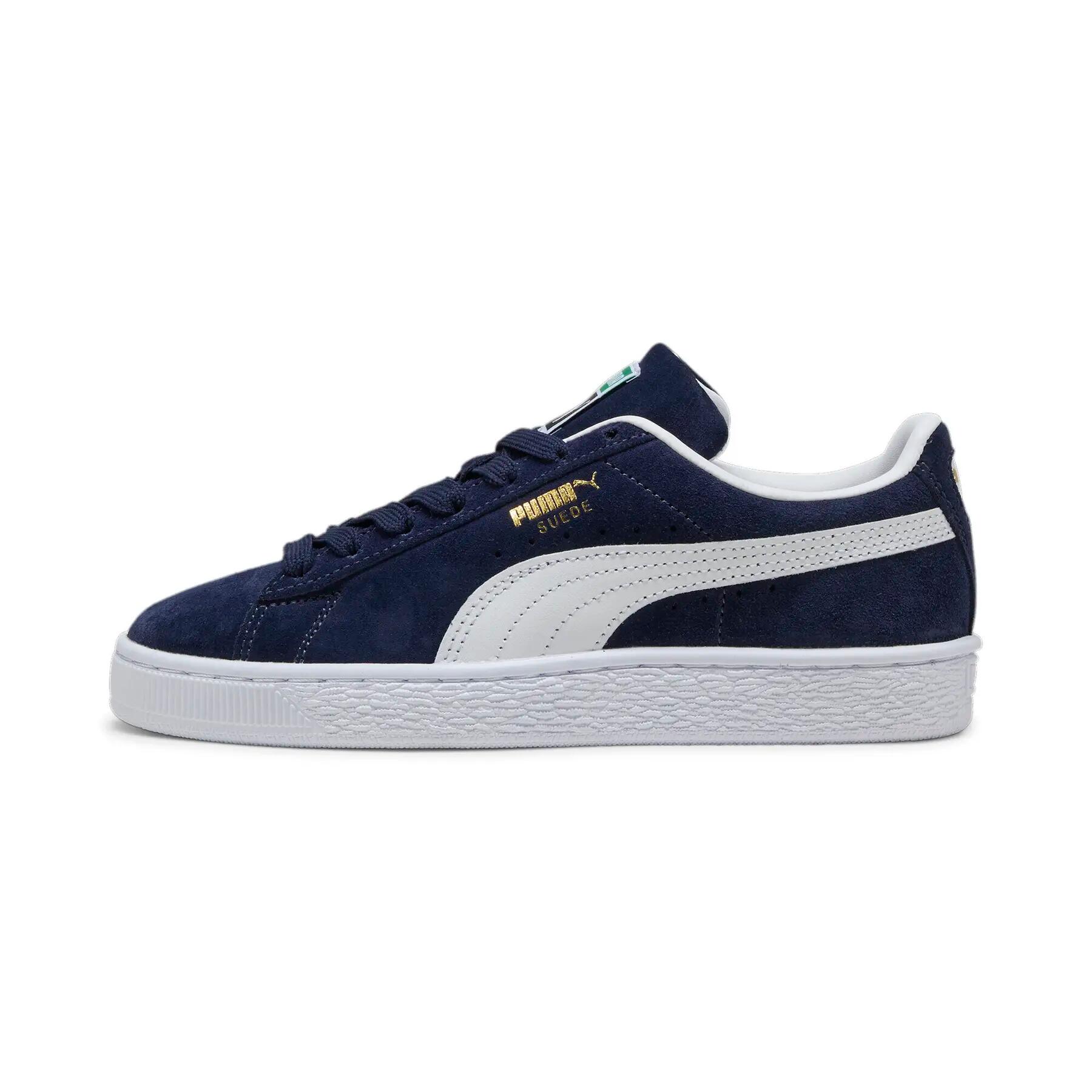 PUMA picture